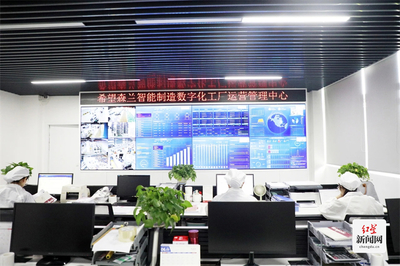 新津新添科技先鋒 數(shù)字技術(shù)企業(yè)填補(bǔ)國(guó)際行業(yè)空白